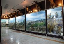 گزارش تصویری از موزه های شهرستان شاهرود